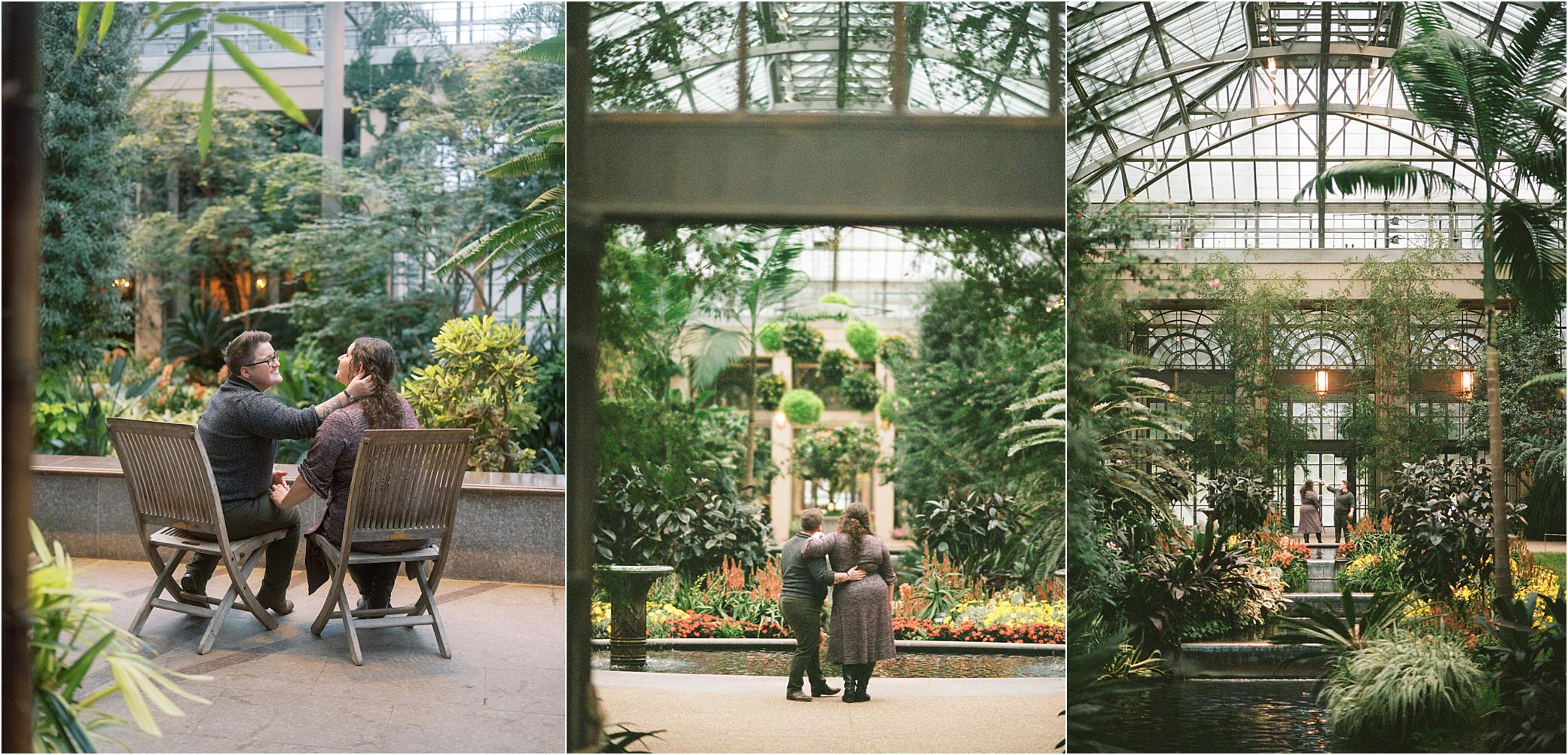 A couple explores the plants growing in a conservatory in Longwood Gardens engagement photos.