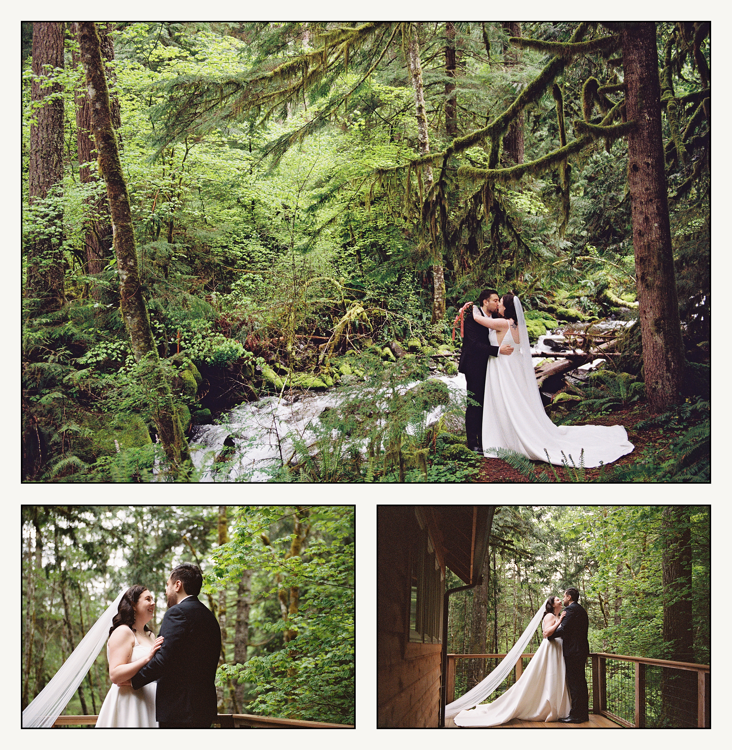 A bride and groom kiss under a tree beside Copper Creek before their PNW wedding.