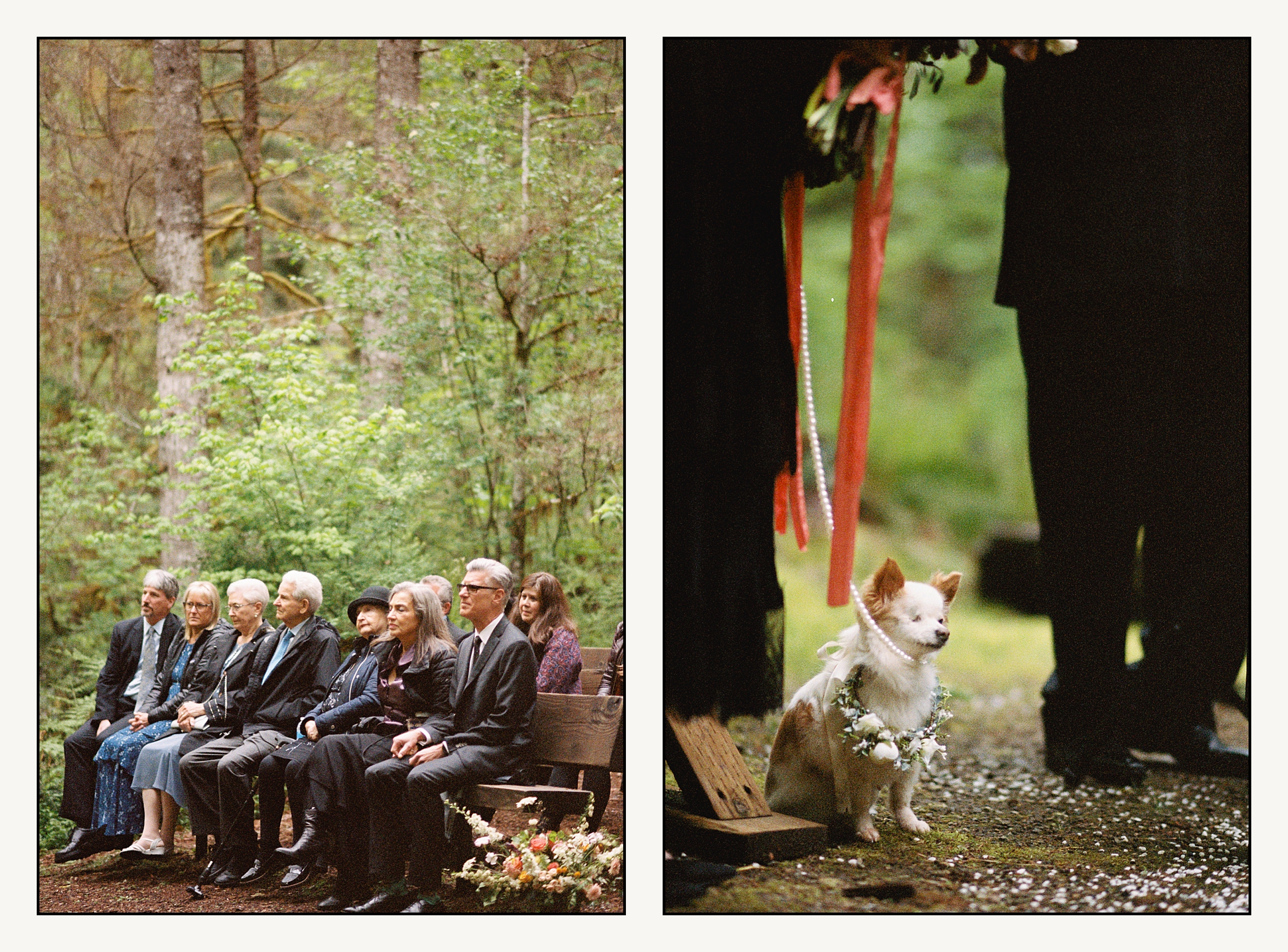 A dog with a flower collar stands beside a wedding party during a ceremony in the forest.