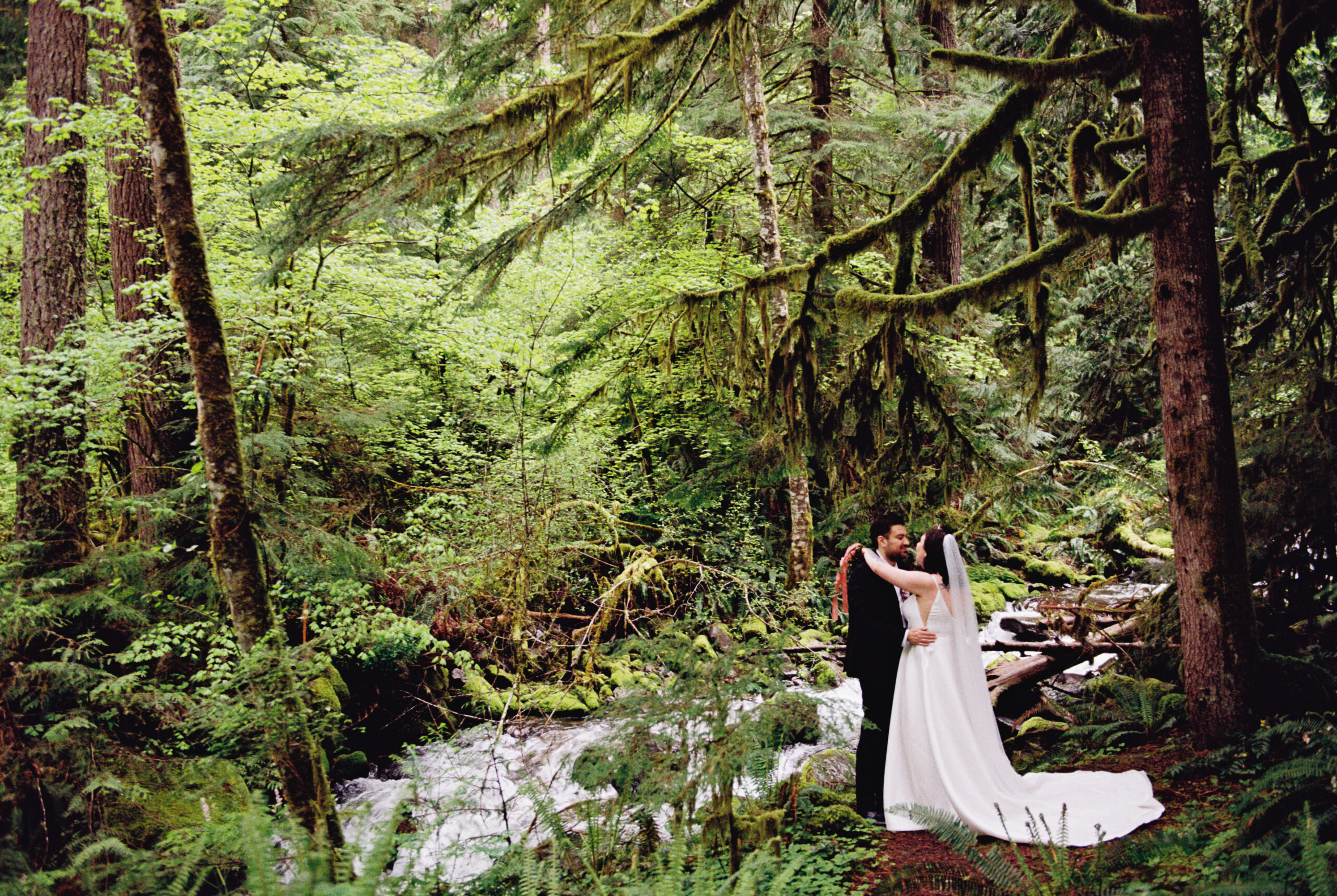 A bride and groom stand beside Copper Creek under a tree before their PNW wedding at Copper Creek Inn.