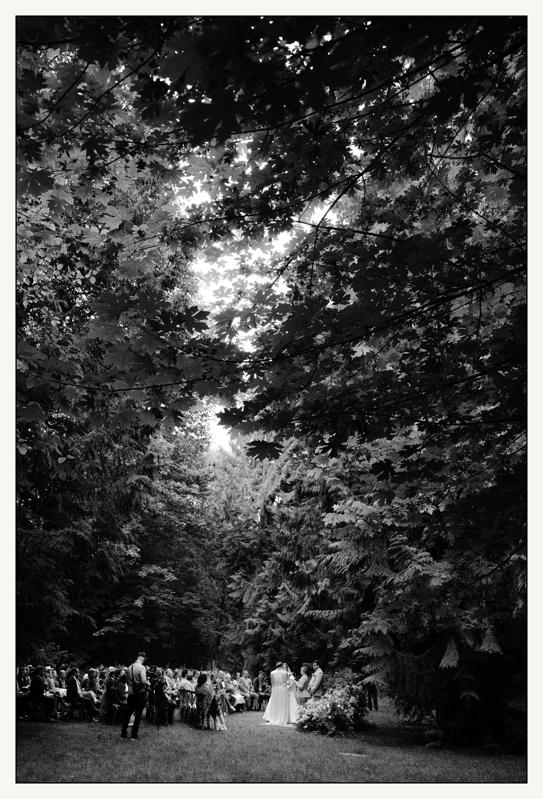 Wedding guests watch a ceremony at the edge of a field on Bainbridge Island.