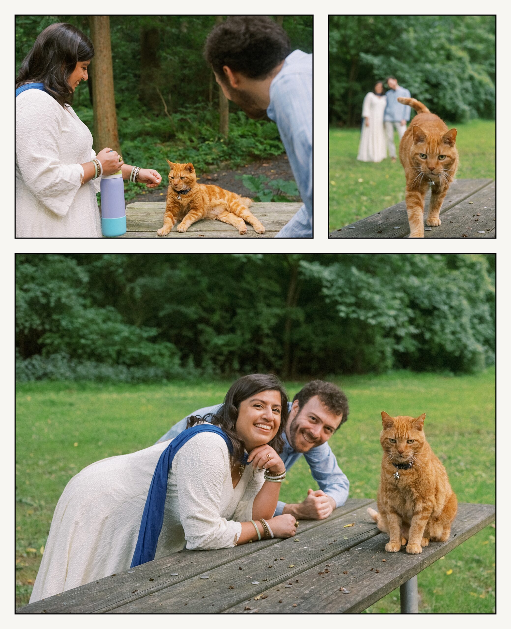 A couple stops to pet a cat on a picnic table during a Philadelphia engagement photo session.